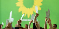Mitglieder stimmen auf der Landesmitgliederversammlung der Grünen über einen Antrag ab.