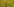 Ein Feld mit Sonnenblumen