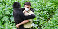 Ein Mann trägt einen kleinen Gorilla durch üppiges Grün
