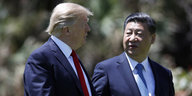 Trump und Xi laufen nebeneinander und reden