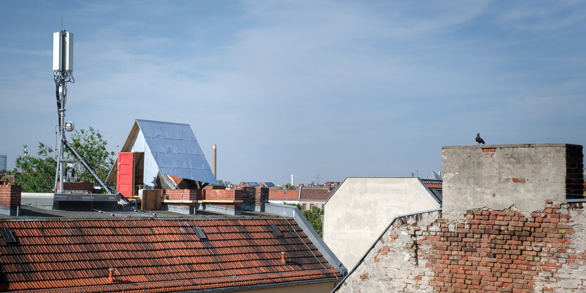 Mehrere roste Häuserdächer. Auf der linken Seite ein Baum im Hintergrund, davor eine Antenne und daneben ein kleines fünfeckiges Haus mit einer offenstehenden roten Tür.