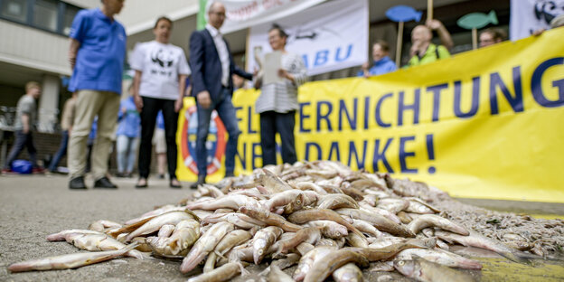 Vor der Hamburger Wirtschaftsbehörde liegen tote Fische auf dem Boden. Im Hintergrund sind unscharf Menschen zu sehen, Plakate werden hochgehalten.