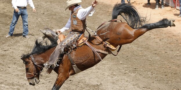 Ein Pferd versucht einen "Cowboy" abzuwerfen