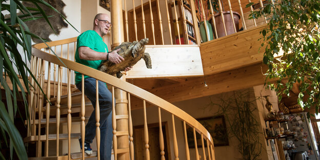 Ein Mann trägt eine große Schildkröte eine Wendeltreppe hinab Ein Mann trägt eine große Schildkröte eine Wendeltreppe hinab