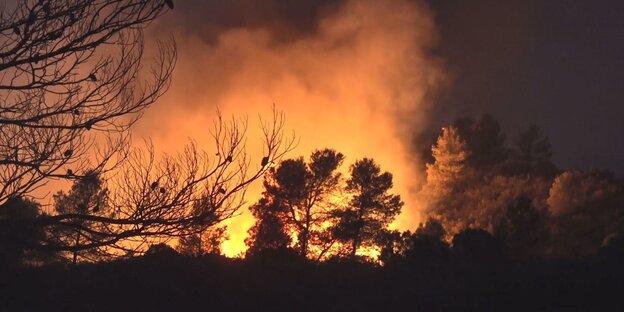 Wald brennt in der Nähe von Ribera d·Ebre in der spanischen Provinz Tarragona