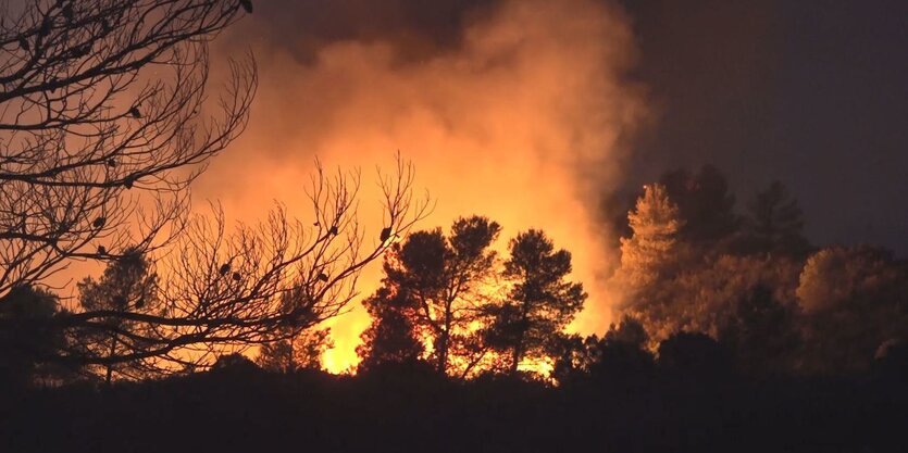 Wald brennt in der Nähe von Ribera d·Ebre in der spanischen Provinz Tarragona