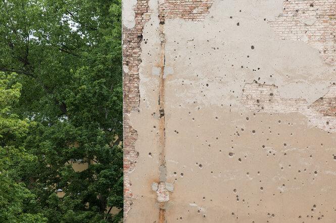 Brandmauer eines Hauses, daneben das Grün eines Baumes