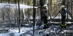 Einsatzkräfte der Feuerwehr versuchen in einem Wald des Landkreises Potsdam-Mittelmark das Feuer zu löschen