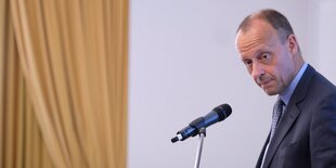 Friedrich Merz vor einem Mikrofon