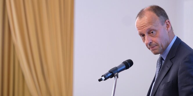 Friedrich Merz vor einem Mikrofon