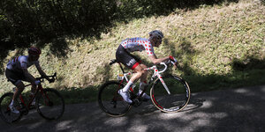 Tour-de-France-Radler radeln durch den Wald