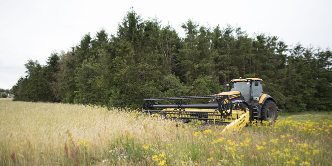 Ein Mähdrescher steht auf einem Feld