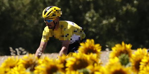 ein Mann in einem gelben Trikot fährt mit dem Rennrad hinter Sonnenblumen vorbei