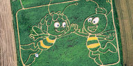 Ein großes Feld aus der Luft fotografiert, auf das die Biene Maja und Willie als Motive eingearbeitet sind
