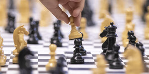 Die Wahrheit: Schach mit ohne alles 