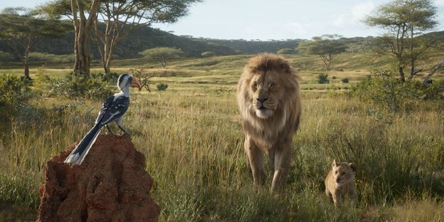 Szene aus dem Film "König der Löwen": Ein Löwe und ein Löwenbaby in der Steppe gucken einen Vogel an, der ihnen gegenüber auf einem Stein sitzt