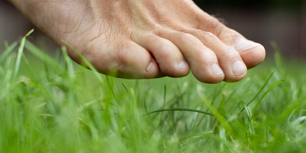 Ein nackter Fuße, der kurz davor ist, in Gras zu treten