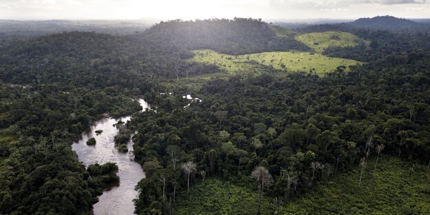 Ein Fluss im Regenwald aus der Vogelperspektive