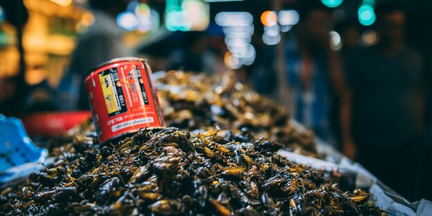 Gebratene Insekten werden in Myanmar an einem Straßenstand angeboten Gebratene Insekten werden in Myanmar an einem Straßenstand angeboten