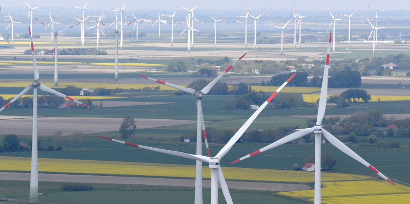 Windräder in Schleswig-Holstein