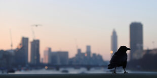 Skyline von London aus Sicht der Westminster Brücke