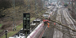 Ein Zug steht auf Eisenbahnschienen, auf ihm liegt ein umgestürzter Baum