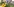 Eine Hand legt Blumen nieder
