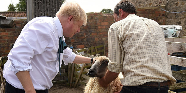 Boris Johnson streichelt ein Schaf