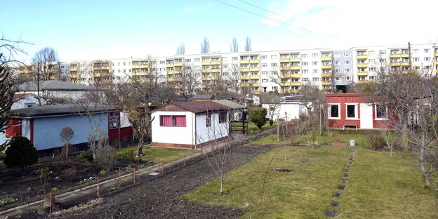 Kleingärten vor einem Plattenbauriegel in Berlin