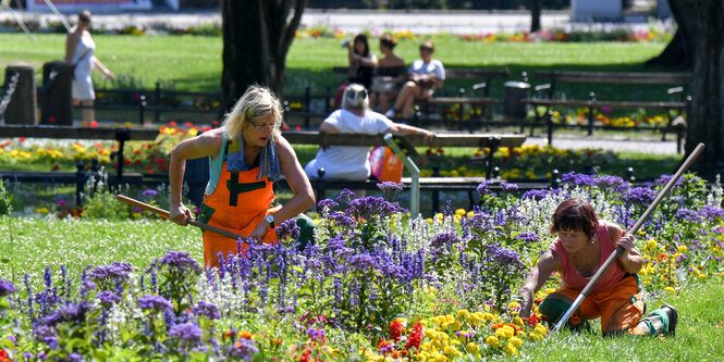 Menschen arbeiten in einem Garten