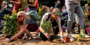 Fridays for Future-Demonstrant*innen stellen vor der Zentrale von Innogy SE, einer Tochtergesellschaft des Energieversorgers RWE, Pflanzen auf