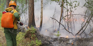 Ein Mann mit Löschausrüstung versprüht Wasser auf brennende Bäume.