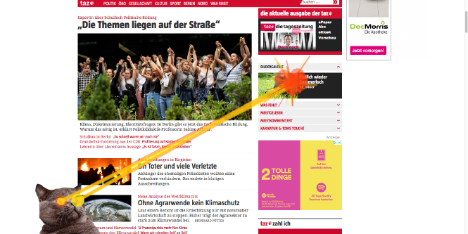 Ein Laser-Strahl kommt aus den Augen einer Katze vor der taz-Homepage