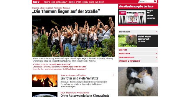 Auf der Homepage von taz.de wird statt einer Werbung ein Bild von Katzen angezeigt