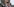 Christian Lindner macht ein Selfie