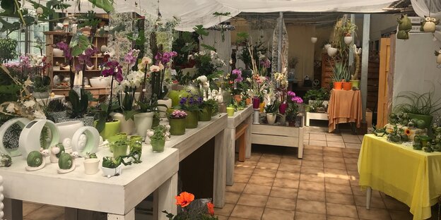 Innenansicht einer Gärtnerei in freital Innenansicht einer Gärtnerei in freital