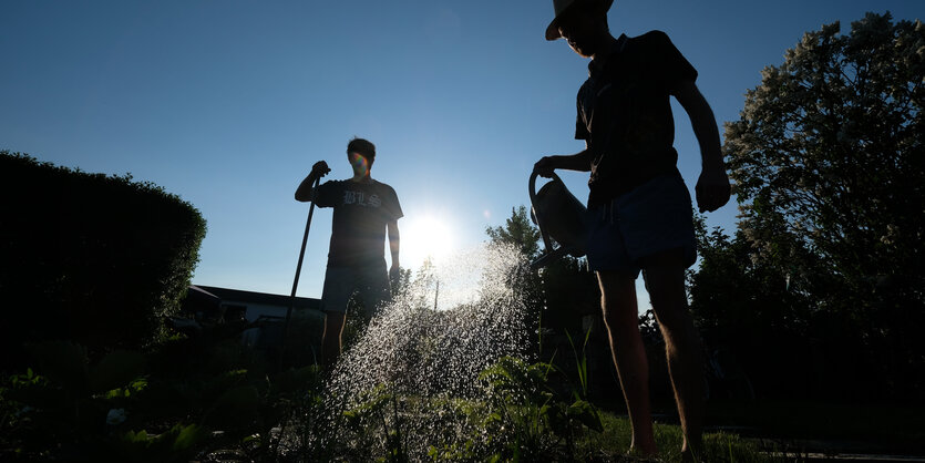 Gartenarbeit im Gegenlicht