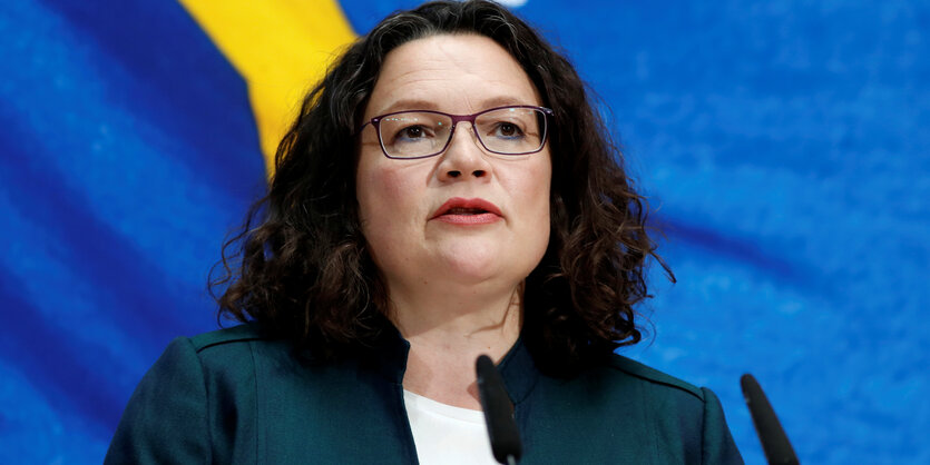 Andrea Nahles vor einer Fahne.