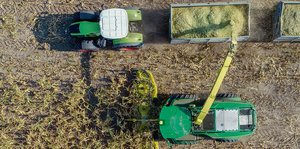 Ein Feld­häcksler erntet Maispflanzen für eine Biogas­-Anlage in Brandenburg