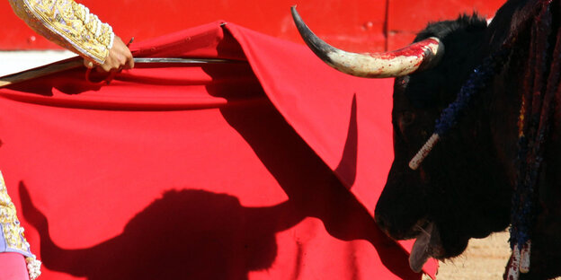 Ein Stier wid mit einer roten Muletta gereizt