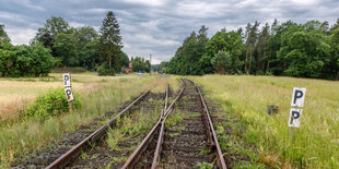 Bahngleise auf dem Land