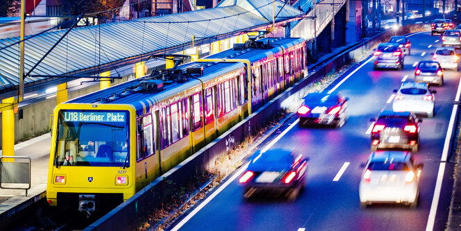 Eine Straßenbahn fährt in Essen an einer Autostraße entlang