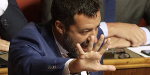 Salvini gestikuliert
