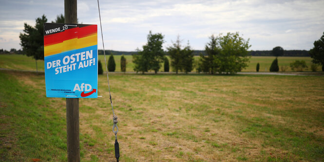 AfD-Wahlplakat auf einer Wiese