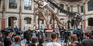 Podiumsdiskussion unter einem Dinosaurierskelett