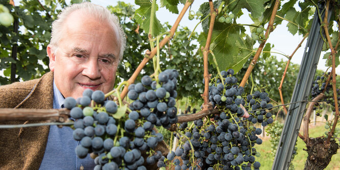 Präsident Fritz Keller im Weinberg