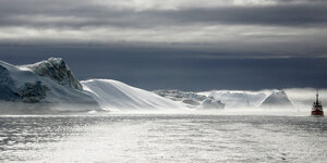 Die Küste von Grönland, eisbedeckte Berge und im LIcht glitzerndes Meer