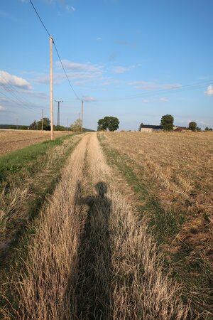 Felder, dazwischen auf dem Feldweg der Schatten einer Wandererin