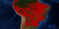 Satellitenbild von Südamerika mit vielen roten Punkten