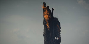 Ein Baumstamm brennt im brasilianischen Amazonasgebiet
